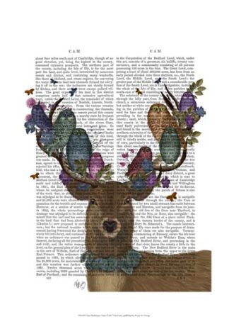 Deer Birdkeeper, Owls