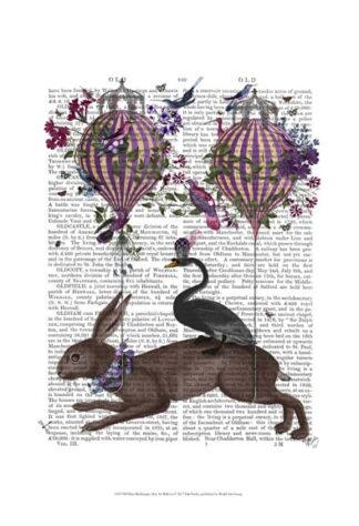 Hare Birdkeeper, Hot Air Balloon
