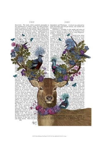 Deer Birdkeeper, Blue Pigeons