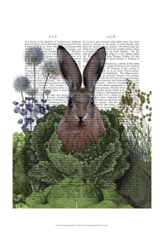 Cabbage Patch Rabbit 1