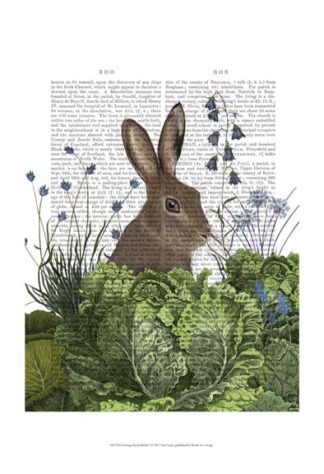 Cabbage Patch Rabbit 2