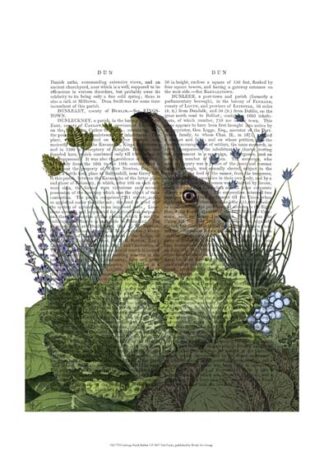 Cabbage Patch Rabbit 3