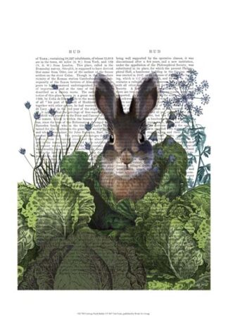 Cabbage Patch Rabbit 4