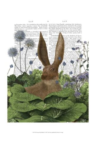 Cabbage Patch Rabbit 5