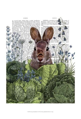 Cabbage Patch Rabbit 6