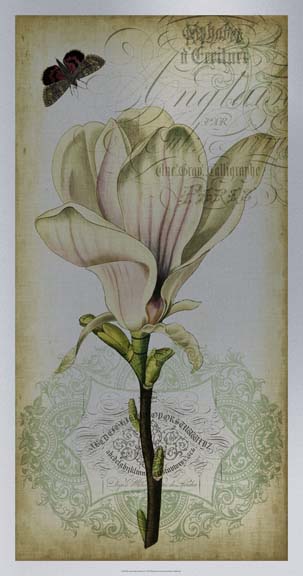 Cartouche & Floral I