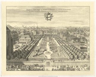 Crackled Formal Garden View I