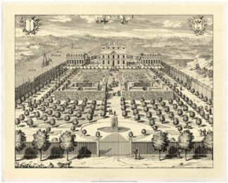 Crackled Formal Garden View II