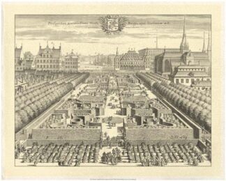 Crackled Formal Garden View III