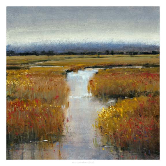 Marsh Land II