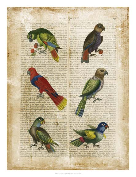 Antiquarian Parrots I