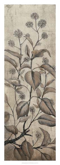 Branch & Blossoms II