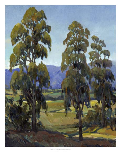 Immersed with Light I