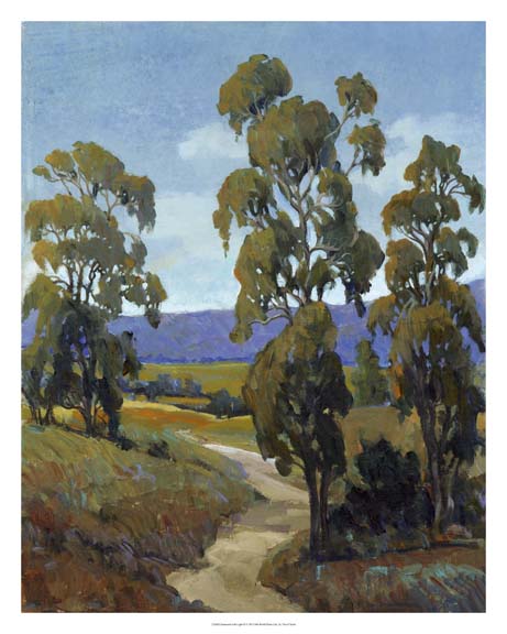 Immersed with Light II