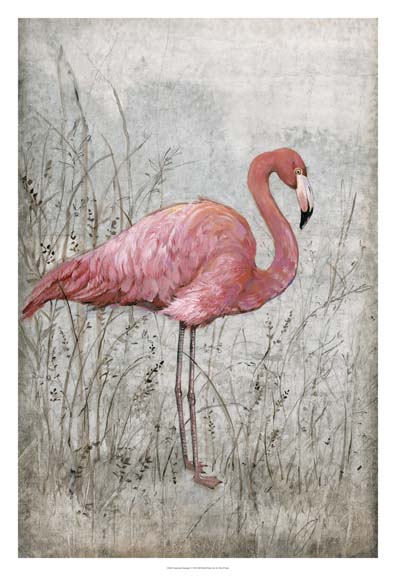 American Flamingo I
