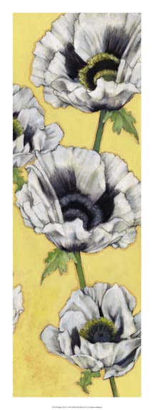 Poppy Vine II
