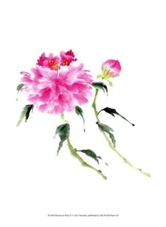 Peonies in Pink IV