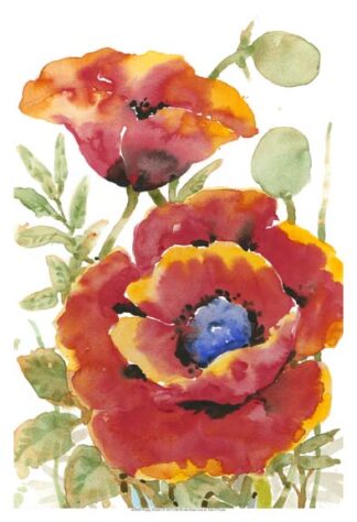 Poppy Floral I