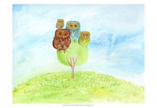 Owl Family