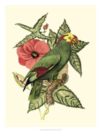 Tropical Birds and Botanicals I