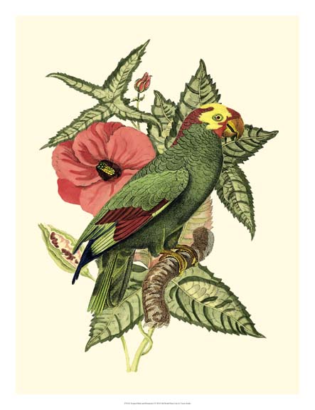 Tropical Birds and Botanicals I