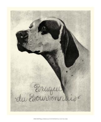 B&W Brague du Bourbonnais