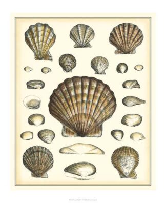 Of Sea and Shore III