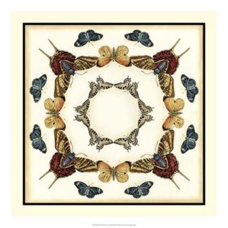 Butterfly Collector I