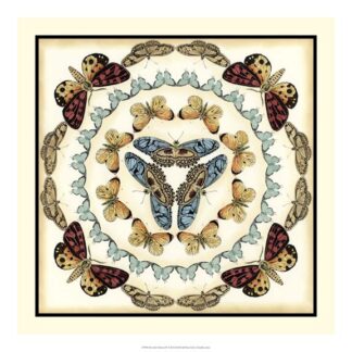 Butterfly Collector IV