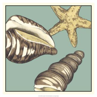 Shell Trio on Blue I