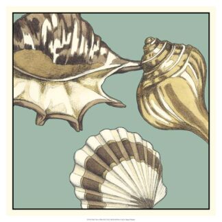 Shell Trio on Blue III