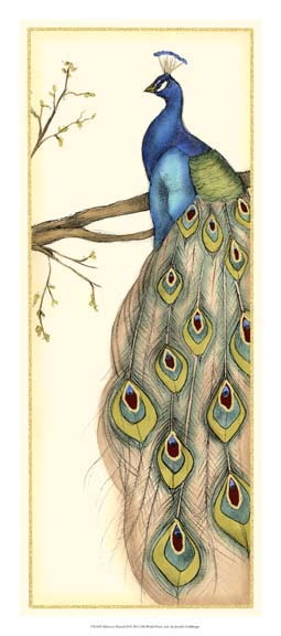 Rebecca's Peacock II