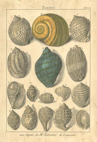 Seaside Treasures III