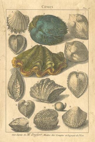 Seaside Treasures IV