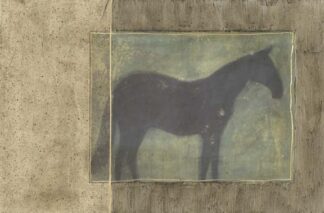 Horse in Textured Frame I