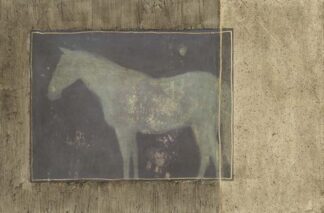Horse in Textured Frame II