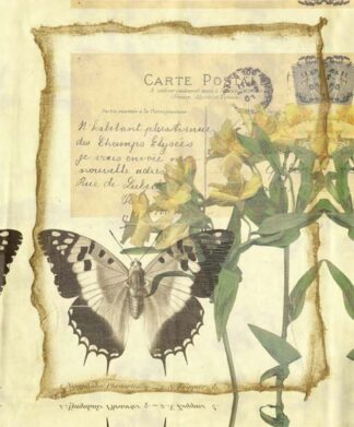 Butterfly Letters II