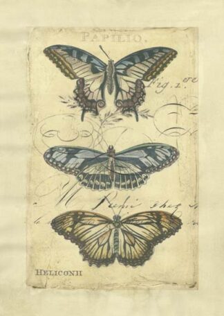 Butterfly Ephemera I