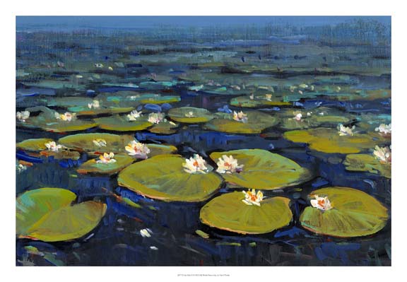 Lily Pads II