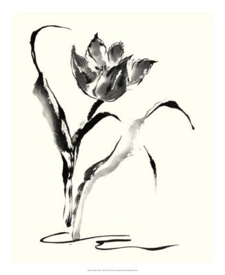 Studies in Ink - Tulip