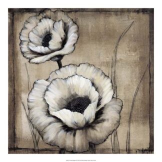 Neutral Poppies II