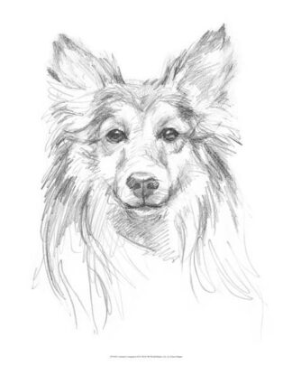 Constant Companion II