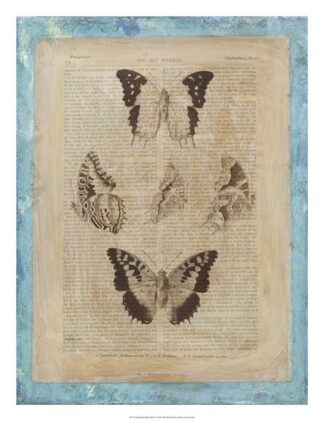 Bookplate Butterflies IV