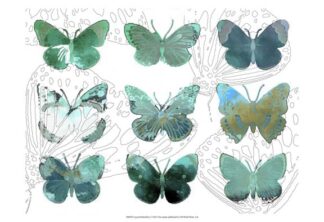 Layered Butterflies I