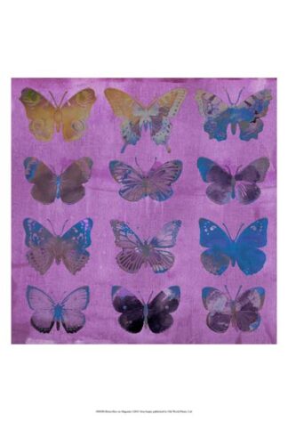 Butterflies on Magenta