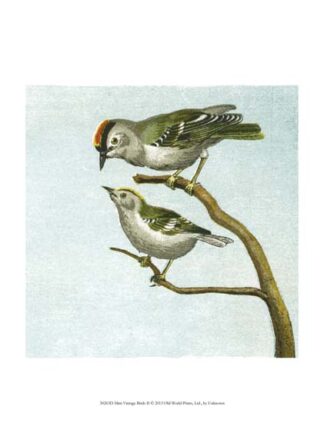 Mini Vintage Birds II