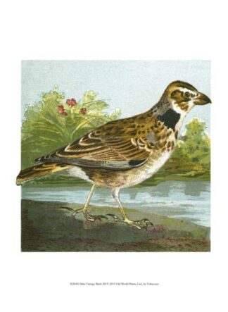 Mini Vintage Birds III