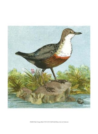 Mini Vintage Birds VII