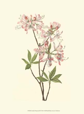 Garden Potpourri III