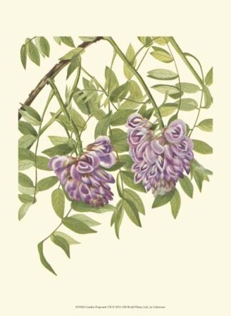 Garden Potpourri VII